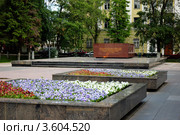 Вологда. Вечный огонь (2012 год). Редакционное фото, фотограф Ирина Балина / Фотобанк Лори