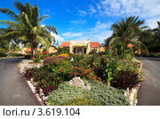 Отель "Sol Cayo Guillermo", Куба (2011 год). Редакционное фото, фотограф Юлия Машкова / Фотобанк Лори