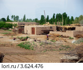 Кишлак в пустыне Казылукум. Узбекистан (2012 год). Стоковое фото, фотограф Liseykina / Фотобанк Лори