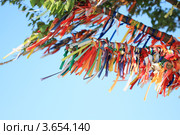 Ленты на дереве (2012 год). Стоковое фото, фотограф Елена Корнеева / Фотобанк Лори
