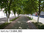 Центральная аллея, улица Ленина, Ливны (2012 год). Стоковое фото, фотограф Вячеслав Потапов / Фотобанк Лори