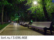 Пустые скамейки в ночном летнем парке, освещенные уличными фонарями. Стоковое фото, фотограф Mikhail Starodubov / Фотобанк Лори