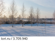 Морозное мартовское утро в Суздале (2012 год). Стоковое фото, фотограф Павел Широков / Фотобанк Лори