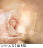 Открытка с розами. Стоковая иллюстрация, иллюстратор Julia Shepeleva / Фотобанк Лори