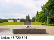 Вечный огонь на территории мемориального комплекса, город Великие Луки, Псковская область (2012 год). Редакционное фото, фотограф Галина Ермолаева / Фотобанк Лори