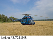 Многоцелевой вертолёт Ми-2 в поле (2012 год). Редакционное фото, фотограф Иван Марчук / Фотобанк Лори