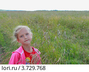 Девочка в поле (2012 год). Редакционное фото, фотограф Степина Елена / Фотобанк Лори