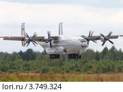 Военно-транспортный самолет Ан-22 "Антей". Посадка (2012 год). Редакционное фото, фотограф Александр Тарасенков / Фотобанк Лори