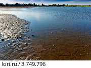 Следы  ракушек перловиц. Стоковое фото, фотограф Владимир Федечкин / Фотобанк Лори