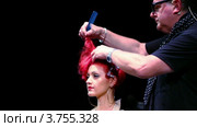 Тим Хартли расчесывать волосы модели на Davines Hair Show 2010 (2011 год). Редакционное видео, видеограф Losevsky Pavel / Фотобанк Лори