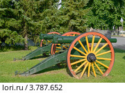 Полевые орудия 1878 года фирмы "Крупп" (2012 год). Редакционное фото, фотограф Валерия Попова / Фотобанк Лори