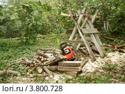 Заготовка дров на зиму (2012 год). Редакционное фото, фотограф Ольга Хлудова / Фотобанк Лори
