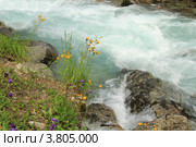 Горная река Махар. КЧР. Кавказ. Стоковое фото, фотограф Rekacy / Фотобанк Лори