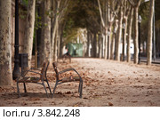 Лавочки в сквере, Барселона, Испания (2012 год). Стоковое фото, фотограф Наталья Чуб / Фотобанк Лори