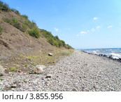 Высокий берег Черного моря в районе поселка Канака (2012 год). Стоковое фото, фотограф Игорь Кутателадзе / Фотобанк Лори