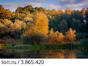 Осенний парк, освещенный вечерним солнцем и прудом. Стоковое фото, фотограф Julia Shepeleva / Фотобанк Лори