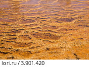 Разноцветные термофильные водоросли в потоках горячей воды в Йеллоустоунcком национальном парке (2012 год). Стоковое фото, фотограф Ирина Кожемякина / Фотобанк Лори