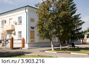 Горькая рябина перед зданием суда, Новый Оскол (2012 год). Стоковое фото, фотограф Вячеслав Потапов / Фотобанк Лори