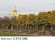 Санкт-Петербург, Петергоф осенью (2012 год). Редакционное фото, фотограф Дмитрий Неумоин / Фотобанк Лори