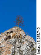 Мурадымовское ущелье (2011 год). Редакционное фото, фотограф Роман Иванов / Фотобанк Лори