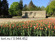 Памятник Вечной славы в городе Ставрополе (2012 год). Редакционное фото, фотограф Rekacy / Фотобанк Лори