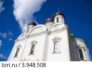 Екатерининский Собор Царского Села (2012 год). Редакционное фото, фотограф Геннадий Соловьев / Фотобанк Лори