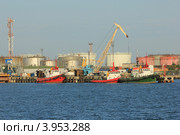 Порт Кавказ и зернопогрузочный терминал с элеватором (2012 год). Редакционное фото, фотограф Rekacy / Фотобанк Лори