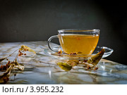 Чай из цветков липы на темном фоне. Стоковое фото, фотограф Ольга Денисова / Фотобанк Лори