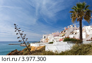 Албуфейра (Albufeira) - вид на старый город и портовый мол со смотровой Россио (Rossio Viewpoint). Алгарве. Португалия (2012 год). Стоковое фото, фотограф Виктория Катьянова / Фотобанк Лори