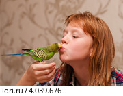 Девочка подросток целует волнистого попугая. Стоковое фото, фотограф Игорь Низов / Фотобанк Лори