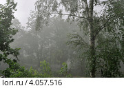 Сильный град и ветер. Стоковое фото, фотограф Татьяна Рылеева / Фотобанк Лори