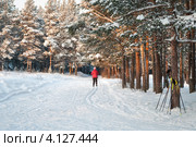 Трасса для катания на лыжах в городе Сегежа, Карелия. Стоковое фото, фотограф Кекяляйнен Андрей / Фотобанк Лори