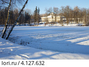 Зима. Музей-усадьба Остафьево (2012 год). Редакционное фото, фотограф Яна Королёва / Фотобанк Лори