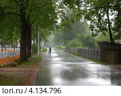 Летний дождь в провинции (2009 год). Стоковое фото, фотограф Анна Мартынова / Фотобанк Лори
