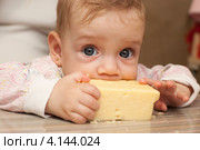 Семимесячный малыш грызет большой кусок сыра. Стоковое фото, фотограф Иванов Алексей / Фотобанк Лори