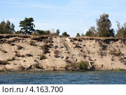 Вид на Куршскую косу со стороны Куршского залива. Вода размывает дюну (2012 год). Редакционное фото, фотограф Михаил Котов / Фотобанк Лори