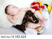 Малыш спит в чемодане с одеждой (3,5 месяца) Стоковое фото, фотограф ivolodina / Фотобанк Лори