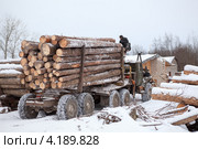 Погрузка напиленных бревен лесовозом автопогрузчиком (2012 год). Редакционное фото, фотограф Кекяляйнен Андрей / Фотобанк Лори