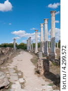 Развалины гимназиума в античном Саламисе. Северный Кипр (2012 год). Стоковое фото, фотограф Виктор Карасев / Фотобанк Лори