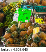 Fresh pineapples on market tray. Azores pineapples. (2012 год). Стоковое фото, фотограф Роман Сулла / Фотобанк Лори