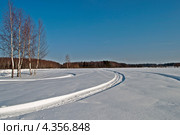 Следы снегоходов в поле на фоне леса, зимний солнечный день. Стоковое фото, фотограф Виктор Сагайдашин / Фотобанк Лори