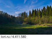 Опушка леса весной. Стоковое фото, фотограф Соловьев Сергей Николаевич / Фотобанк Лори