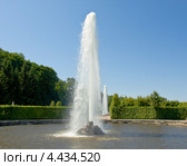 Петергоф, Менажерные фонтаны (2012 год). Редакционное фото, фотограф ИВА Афонская / Фотобанк Лори