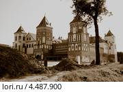 Мирский замок, г. п. Мир, Гродненская обл., Беларусь (2009 год). Стоковое фото, фотограф Марина Шатерова / Фотобанк Лори