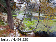 Первый снег на реке. Стоковое фото, фотограф Julia Shepeleva / Фотобанк Лори