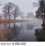 Туман в парке в октябре. Стоковое фото, фотограф Julia Shepeleva / Фотобанк Лори