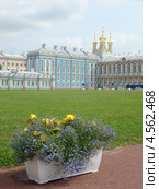Царское село (2010 год). Редакционное фото, фотограф Анна Демьяненко / Фотобанк Лори