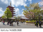 Пятиэтажная пагода на территории крупного парка Sensoji shrine, Asakusa, Токио, Япония (2013 год). Редакционное фото, фотограф Кекяляйнен Андрей / Фотобанк Лори