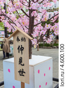 Цветущая сакура. Senso-ji shrine, Asakusa, Токио. Япония (2013 год). Редакционное фото, фотограф Кекяляйнен Андрей / Фотобанк Лори