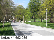 Аллея парка курорта Марианские Лазне, Чехия (2013 год). Редакционное фото, фотограф Юлия Кузнецова / Фотобанк Лори